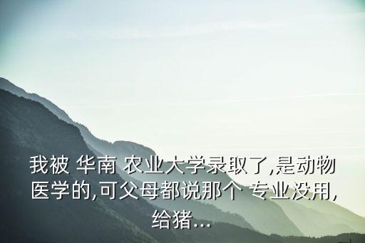 华南农业大学怎么辅修专业