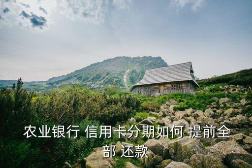 农业信用卡怎么提前还款,农业银行信用卡