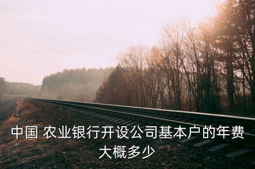 中国 农业银行开设公司基本户的年费大概多少