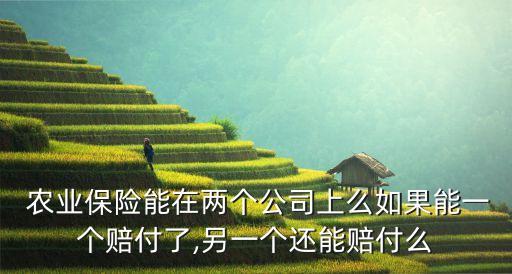 农业保险重复投保怎么办,农户不愿投保农业保险的原因