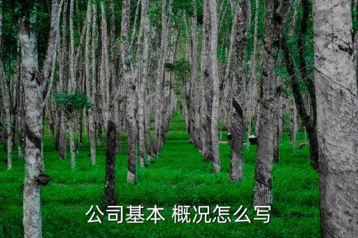 农业企业概况怎么写,企业概况主要经营范围怎么写