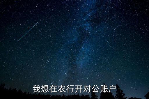 我想在农行开对公账户