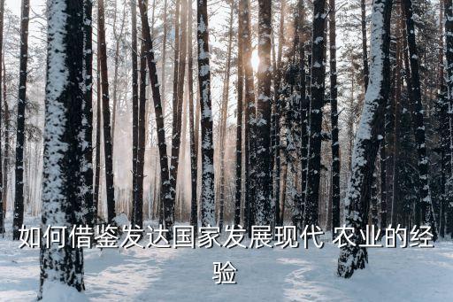 如何借鉴发达国家发展现代 农业的经验