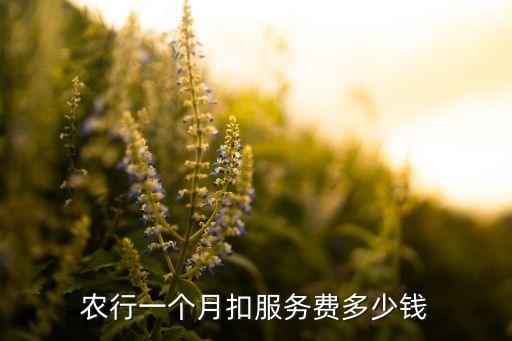 农业银行双减免要什么东西,双墩农业银行在什么位置