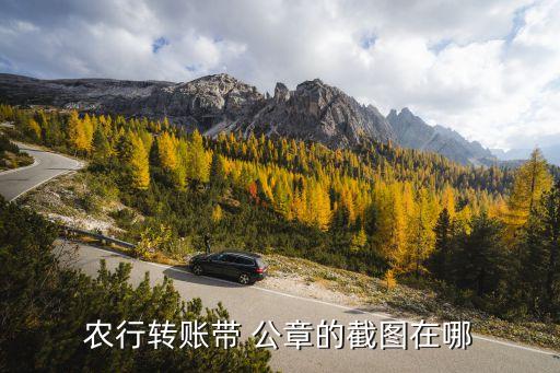 农业银行怎么导出带公章明细