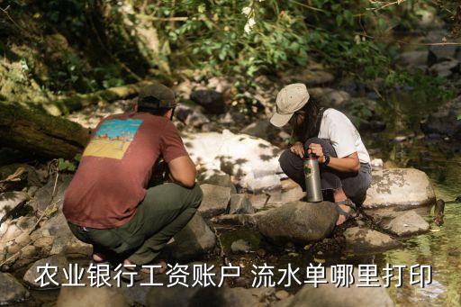 农业银行怎么打半年的流水