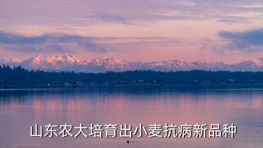 山东农业大学孙小小怎么样