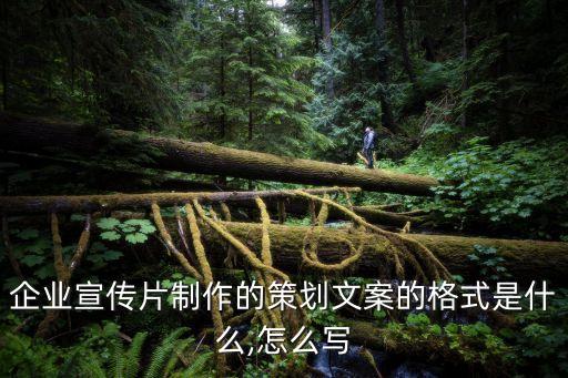 企业宣传片制作的策划文案的格式是什么,怎么写