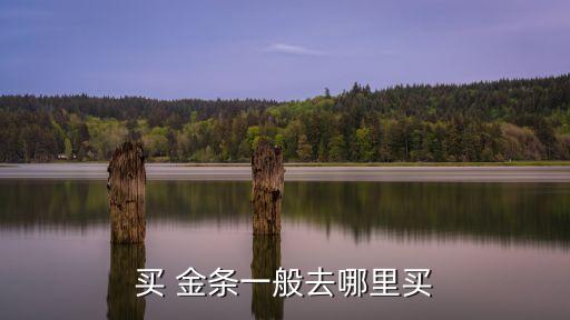 农业银行金条怎么买,为什么没人买银行的金条