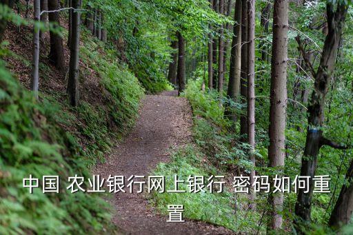 农业登录密码怎么改密码,农业忘记登录密码