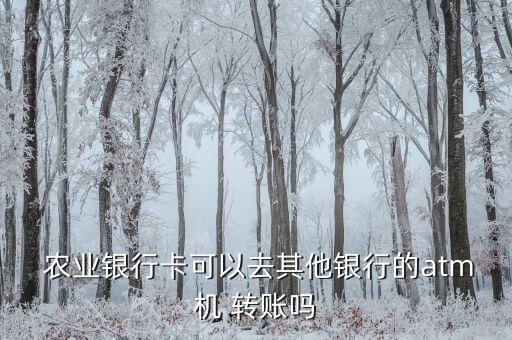  农业银行卡可以去其他银行的atm机 转账吗