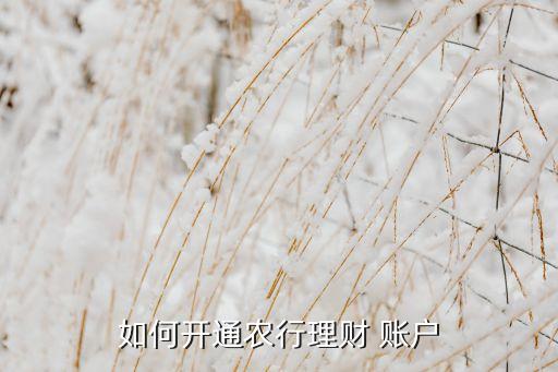 白银农业银行账户怎么开,农业银行可以开两个账户吗