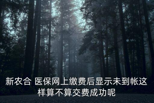 农业医保未出账单什么意思