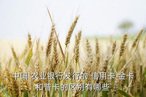 中国 农业银行发行的 信用卡 金卡和普卡的区别有哪些
