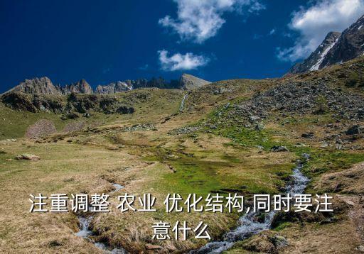 注重调整 农业 优化结构,同时要注意什么