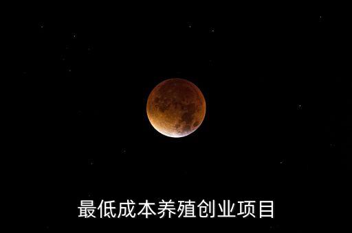 农业产品的四高指的是什么