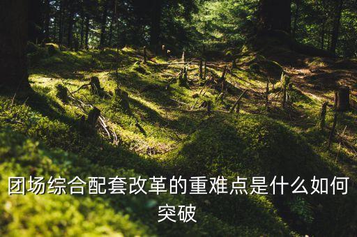 团场综合配套改革的重难点是什么如何突破