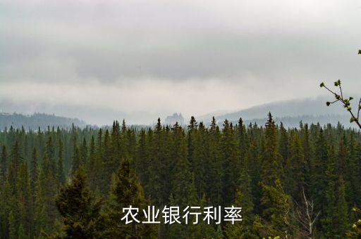 农业银行怎么查基点多少,2023农业银行贷款基点是多少