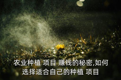 农业投资项目怎么赚钱,2023年的投资项目赚钱