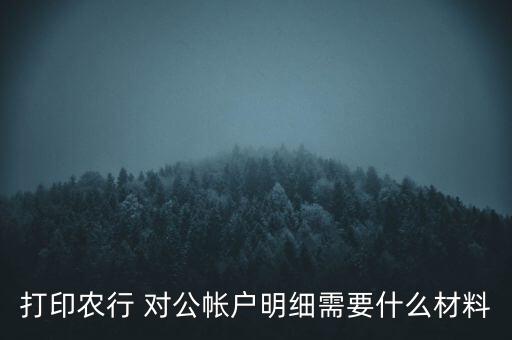农业银行对公流水怎么拉