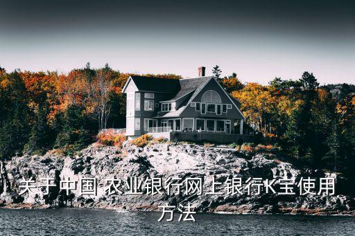 关于中国 农业银行网上银行K宝使用方法