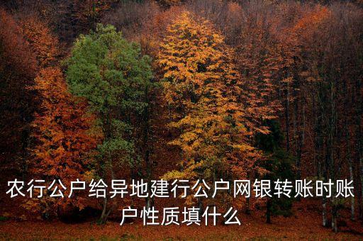 农业银行付款方账号怎么填