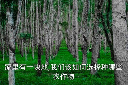 怎么选择农业种植方向,农业种植公司怎么注册
