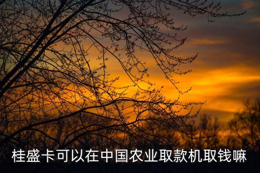农业银行怎么换桂盛卡