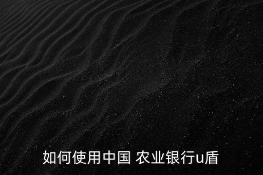 农业网银盾怎么安装