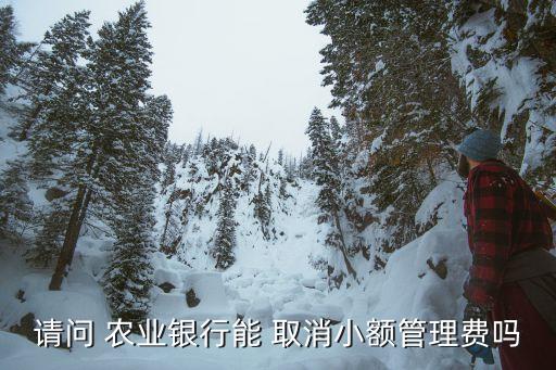 请问 农业银行能 取消小额管理费吗