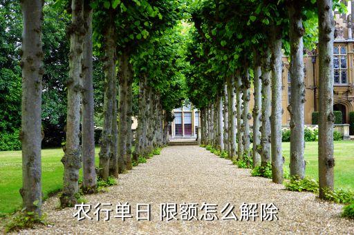 农行单日 限额怎么解除