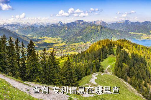 农业专利怎么样查询申请,正在申请的专利可以查询吗