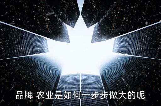 农业品牌进展情况怎么写,农业产业情况怎么写