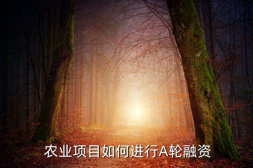 投资农业怎么做,西安农业投资集团