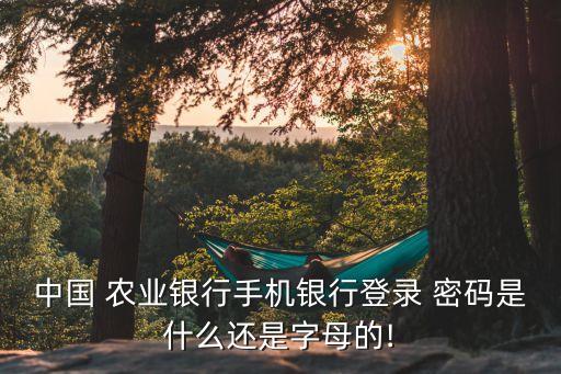 农业银行怎么用英文密码