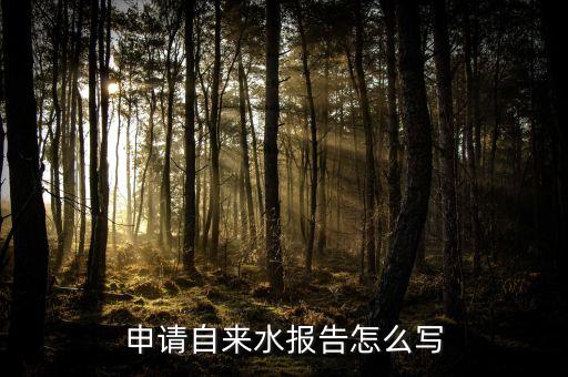 申请自来水报告怎么写