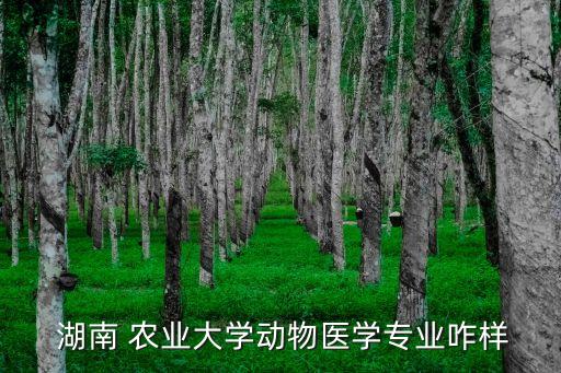  湖南 农业大学动物医学专业咋样
