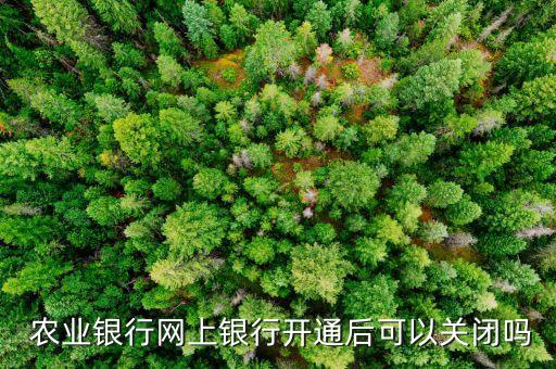农业银行开网银怎么注销