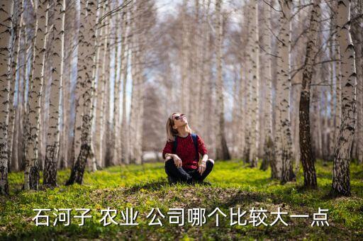 石河子 农业 公司哪个比较大一点