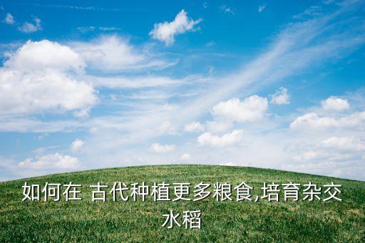 如何在 古代种植更多粮食,培育杂交水稻