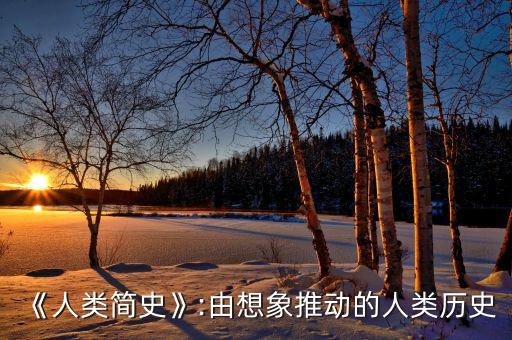 《人类简史》:由想象推动的人类历史