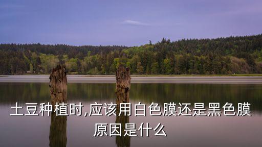 农业生产中用什么薄膜,有色薄膜在农业生产上的应用