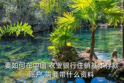 要如何在中国 农业银行注销基本存款账户,需要带什么资料