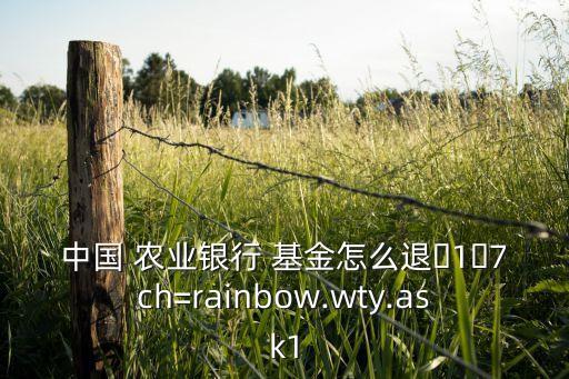 中国 农业银行 基金怎么退�1�7ch=rainbow.wty.ask1