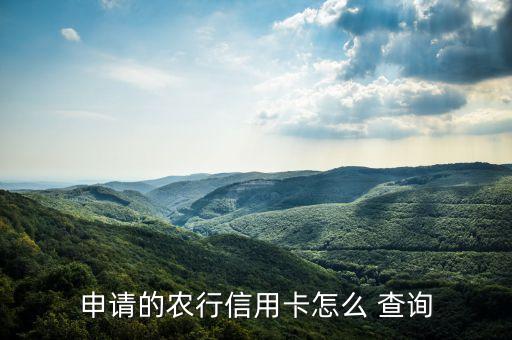 农业银行怎么查询贷款人,怎么查询农业银行贷款进度