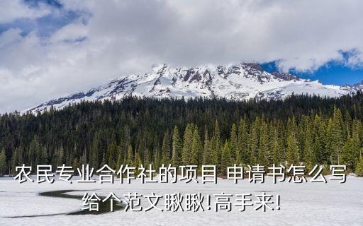 农业扶持申请怎么写,农业灌溉三相电申请怎么写