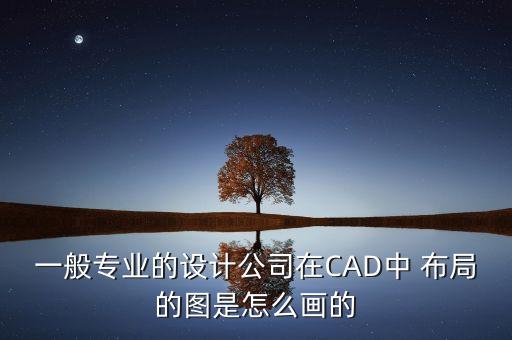 一般专业的设计公司在CAD中 布局的图是怎么画的