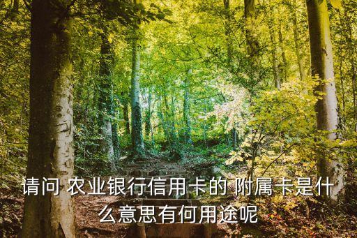 请问 农业银行信用卡的 附属卡是什么意思有何用途呢