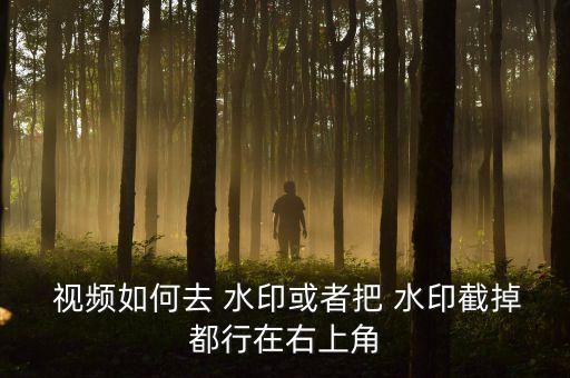 农业报告怎么去水印视频,报告上的水印怎么做