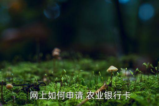  网上如何申请 农业银行卡